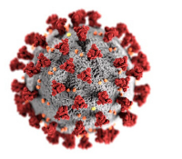 Covid 19 virus
